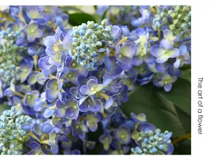 Beautiful artificial hydrangea flower branch home decor fake plant for interior table display.