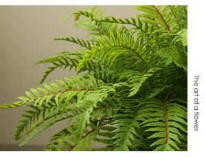 Artificial fern leaves green plant close up detail interior home decoration landscaping ornament