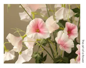 Artificial morning glory flowers pink gradient fake floral home decor detail close up