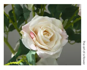 Close-up detail of artificial white and pink rose flower with green leaves and realistic stem.