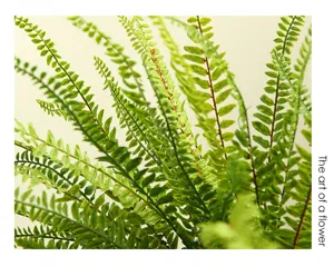 Artificial fern leaves fake plants indoor outdoor greenery decor landscaping decoration