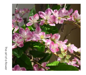 Künstliche hängende Jasmin Blumen Heimdekoration rosa Blumenarrangement elegante Tischdeko