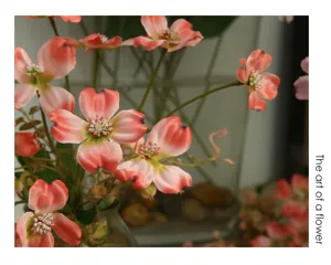 Primer plano detallado de flores de cornejo rosa artificiales con pétalos y estambres realistas.