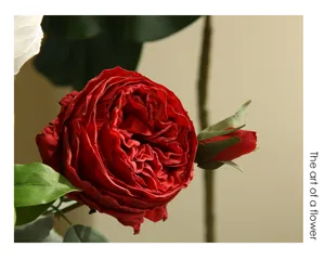 Finto Fiore Artificiale Rosa Austin Due Teste Seta Decorazione Soggiorno Casa Interno