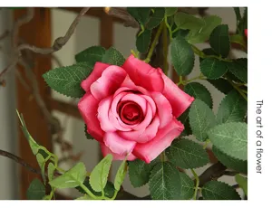 Artificial rose flower vine detail shot, beautiful pink floral wall decor for home and party.