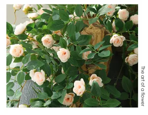 Guirlanda de rosas artificiales para decoración de pared interior de boda planta falsa rosa