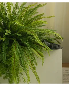 Artificial fern plant leaf simulation green foliage indoor home decor aesthetic prop detail