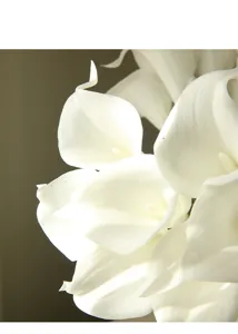 Close-up detail of artificial white calla lily flower petal texture and elegant shape.
