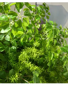 Artificial green plant foliage detail close-up, dense fern and leaf arrangement for decor.
