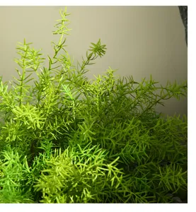Artificial Boston fern leaves detail shot, realistic green foliage for indoor outdoor decor.