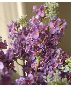Artificial lilac flower detail, moisturizing touch fake floral for home table decor.