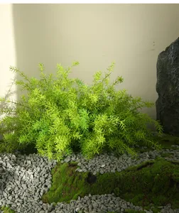 Artificial fern leaves green plant for indoor outdoor landscaping decor simulation foliage.
