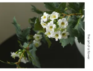 Artificial snowball flower branch home decor photography prop minimalist floral arrangement
