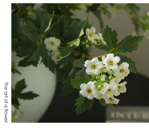Close-up detail of artificial snowball flowers with white blooms and green leaves for home decor.