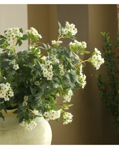Close-up view of artificial white snowball flowers in elegant vase, perfect home decor.