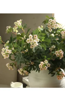 Artificial snowball flowers detail shot, perfect for home decor and photography props.
