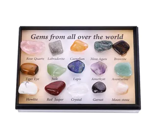 Natürlicher Kristall 15 Edelstein Proben Box Mineral Steine Geologie Lehre Set