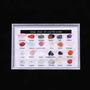 24 Stk natürliche Kristall Edelstein Mineral Gestein Proben Set mit transparenter Box.
