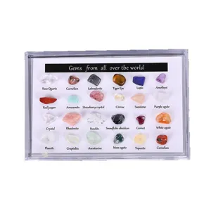 Natürliches Kristall Mineralien Proben 24er Set Edelstein Geologie Unterricht Box