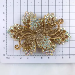 Vista detallada del aplique de pinza para zapatos con flores de diamantes de imitación.