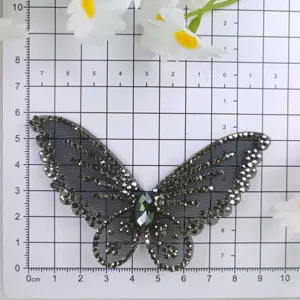 Strass vlinder patch DIY ambachtelijk accessoire voor kleding trouwjurk schoenen en tassen.