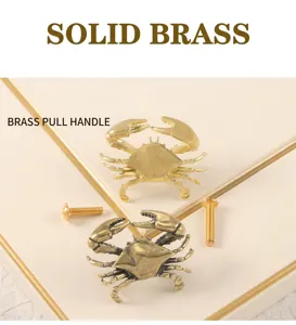 Detailansicht massiver Messing Krabbe Möbelknopf, Luxus Tier Schubladengriff.