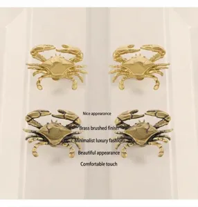 Nahaufnahme des Messing Krabbe Möbelgriffs, exquisite gebürstete Metalltextur für Möbel.