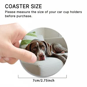 Silicone car coaster featuring a cute brown dog pattern, 7cm diameter, non-slip and absorbent.