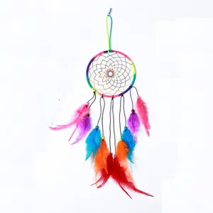 Handmade colorful dream catcher wall hanging with feathers and beads for home decor