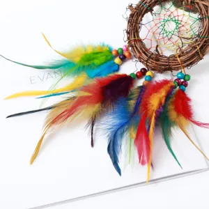 Handmade colorful dream catcher wall hanging with feathers and beads for home decor.