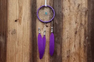 Detail shot of purple handmade dream catcher with feathers and silver beads hanging on wood.