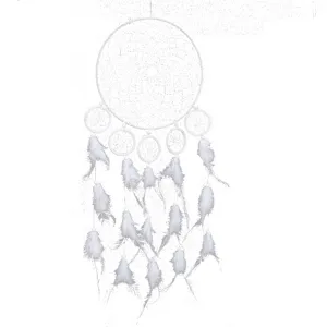 White Indian style dream catcher main image showcasing feather hanging home room decoration.