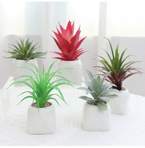 Dettaglio di pianta succulenta finta in vaso, piccola pianta ornamentale finta in ceramica bianca
