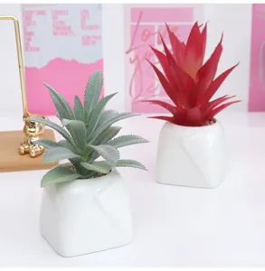 Pianta succulenta artificiale in vaso di ceramica bianca per la decorazione della casa