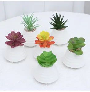 Primo piano di sei piante succulente artificiali colorate in vasi bianchi scanalati.