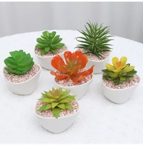 Plantas suculentas artificiales en maceta de cerámica blanca con piedras para la oficina.