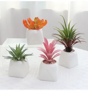 Piante succulente finte in vaso di ceramica bianca, perfetta decorazione per la casa.