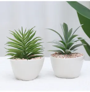 Vista detallada de plantas suculentas artificiales en macetas de cerámica blanca con piedras rosas.