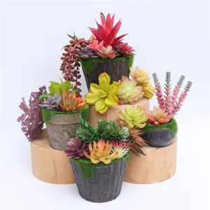 Artificial succulent plant heads DIY potted arrangement home decor green plants display