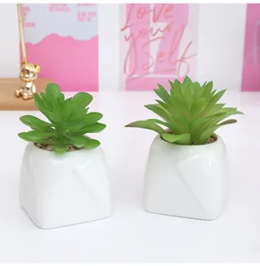 Pianta succulenta artificiale in vaso di ceramica, elegante decorazione per interni.