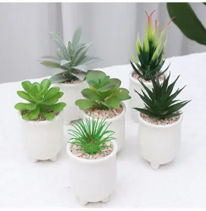 Set of 6 mini artificial succulent potted plants fake green plants for home office decor.