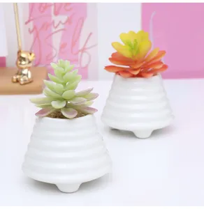 Piante grasse artificiali in vaso bianco scanalato, perfette per decorazione d'interni casa.