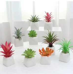 Set di piante succulente artificiali in vaso di ceramica, perfette decorazioni per la casa e ufficio.