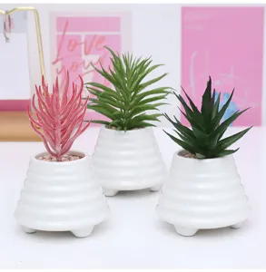 Set di piante succulente artificiali in vasi di ceramica bianca per decorazione casa ufficio
