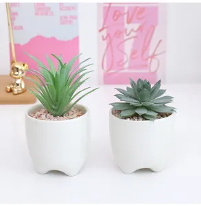 Künstliche Sukkulenten Mini Topfpflanzen Set für Heim Büro Desktop Dekoration