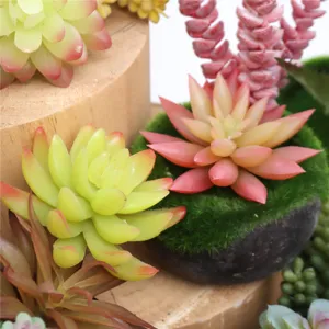Close-up of artificial succulent plants, ideal for DIY home decor and potted arrangement.