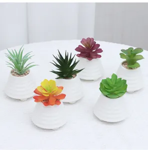 Piante succulente artificiali in vaso dettaglio, perfette per decorazione d'interni ufficio e casa.