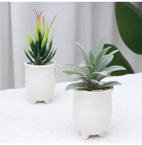 Mini artificial succulent potted plant set featuring cute white ceramic pots for home decor.