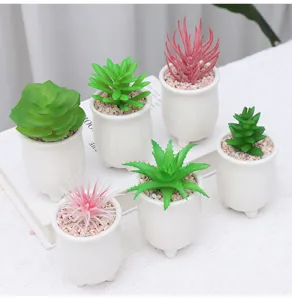 Mini artificial succulent potted plants set for home room decor desk tabletop green ornaments.