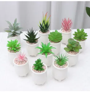 Mini artificial succulent potted plant detail shot with white ceramic pots for home decor.